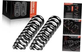 Apcs363pc Premiumpartswhosale 2pcs Front Suspension Coil Spring Set Compatible With Dodge Ram 1500 2006