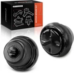 A-premium 2PCS Front Engine Motor Mount Kit Compatible With Ford Black. Fixed Price $66.79.