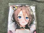 Narita Taishin Uma Musume Dakimakura Hugging Body Pillow Cover Moe Xiaozhu Rare. Fixed Price $185.00.