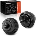 A-premium Set Of Engine Motor Mount Kit Compatible With Ford F-150/F-250/F-.... Fixed Price $73.76.